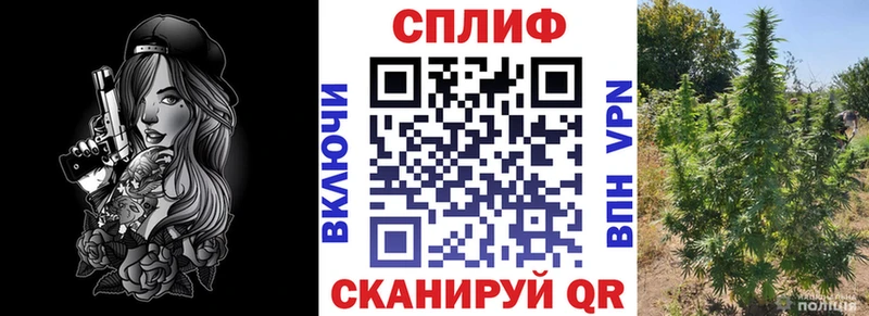 Виды наркотиков купить Новомичуринск Гашиш Каннабис COCAIN Мефедрон