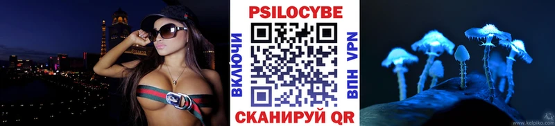где можно купить Новомичуринск Галлюциногенные грибы мицелий